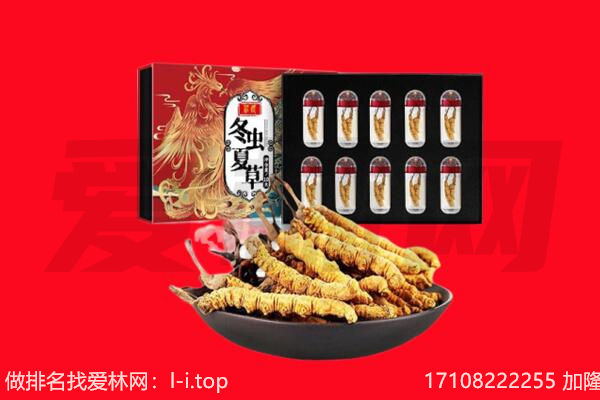 保定市莲池回收虫草.jpg